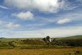 Vixen Tor Dartmoor Royalty Free Stock Photo