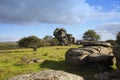 Vixen Tor, Dartmoor National Park Devon, uk