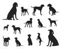 Vizsla dog silhouettes, Vizsla dog silhouette