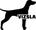 Vizsla silhouette with name