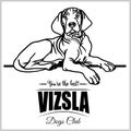 Vizsla - vector illustration for t-shirt, logo and template badges Royalty Free Stock Photo