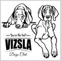 Vizsla - vector set isolated illustration on white background