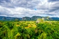 The ViÃÂ±ales valley in Cuba