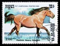 Vladimir Heavy Draught Equus ferus caballus, Horses serie, circa 1986