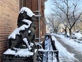 Vladivostok, Russia, February, 29,2020. Stone lion in front of the historical building of the East Institute, the first higher edu