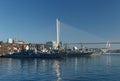 Vladivostok, Russia - January,02,2020: The warships of the Pacific Fleet