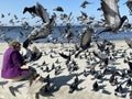 Vladivostok, Russia, October, 10, 2023. Woman feeds pigeons on the Sports Embankment in Vladivostok