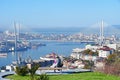 Vladivostok, Russia, October, 12, 2022. Young woman admires the city of Vladivostok from the observation deck in the Upland Park o