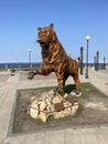 Vladivostok, Russia, September, 29, 2022. Figure of tiger made of scrap metal on the Sports promenade. Russia, Vladivostok city Royalty Free Stock Photo