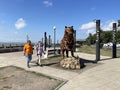 Vladivostok, Russia, September, 04, 2023. Figure of tiger made of scrap metal on the Sports promenade