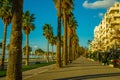 VLORA-VLORE, ALBANIA: The main road and palms