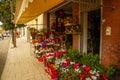 VLORA-VLORE, ALBANIA: Street flower shop in the center of Vlora.