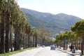 Vlore, Albania, Saturday 26 August 2023 walking in the central avenue with full on palm trees beautiful albanian places to live