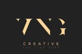 VNG abstract letter logo design Royalty Free Stock Photo