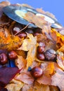 Vntage vinyl records on aged wooden background with fall autumn leaves and chestnuts