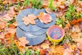 Vntage vinyl records and ceramic cup of tea on fall leaves