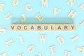 Vocabulary concept in English grammar and learning class lesson. Wooden blocks typography word flat lay