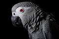 A vocal and intelligent African Grey Parrot mimicking words and sounds, mimicking words and sounds with ease. Generative AI