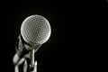 Vocal microphone Royalty Free Stock Photo