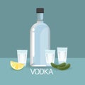 Vodca Bottle Glass With Cucumber Lemon Slice Alcohol Drink Icon Flat