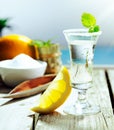 Vodka cocktail with lemon Royalty Free Stock Photo