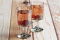 Russian homemade liquor with vodka and cranberry Royalty Free Stock Photo