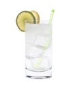 Vodka or Gin Tonic Cocktail