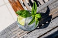 Vodka or Gin Tonic Cocktail with lime, mint leaves and ice at the garden natural light Royalty Free Stock Photo