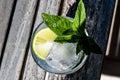 Vodka or Gin Tonic Cocktail with lime, mint leaves and ice at the garden natural light Royalty Free Stock Photo