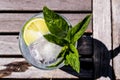Vodka or Gin Tonic Cocktail with lime, mint leaves and ice at the garden natural light Royalty Free Stock Photo
