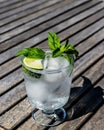 Vodka or Gin Tonic Cocktail with lime, mint leaves and ice at the garden & x28;natural light& x29; Royalty Free Stock Photo