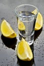 Vodka with lemon Royalty Free Stock Photo