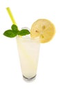 Vodka lemon Royalty Free Stock Photo