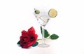 Vodka Martini Valentine`s Day Cocktail Drink Royalty Free Stock Photo