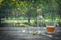 Vodka with pickled cucumbers, two shot glasses and mug of cold beer on the wooden table at the nature background. After party. Royalty Free Stock Photo