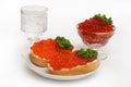 Vodka and red caviar Royalty Free Stock Photo