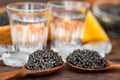 Vodka and sandwiches with black sturgeon caviar close up Royalty Free Stock Photo