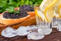 Vodka and sandwiches with black sturgeon caviar close up Royalty Free Stock Photo