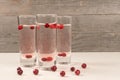 Vodka or schnaps with cranberries in shot glass Royalty Free Stock Photo