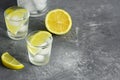 Vodka shot glass with ice and juicy lemon slices on a gray concrete background. Selective focus, copy space Royalty Free Stock Photo