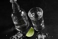 Vodka in shot glass and mini bottle on black background with a blank space for a text Royalty Free Stock Photo