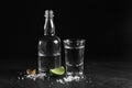 Vodka in shot glass and mini bottle on black background with a blank space for a text Royalty Free Stock Photo