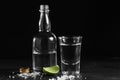 Vodka in shot glass and mini bottle on black background with a blank space for a text Royalty Free Stock Photo