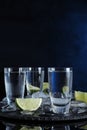 Vodka in shot glasses and lime slices on background Royalty Free Stock Photo