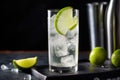 vodka tonic with a wedge of lime in a highball glass