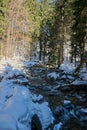 Sunny Great Mumlav river in winter 2021 Royalty Free Stock Photo