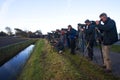 Vogelaars bij de Kaspische Plevier op Texel; Birdwatchers at the