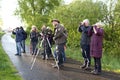 Vogelaars, Birdwatchers Royalty Free Stock Photo