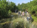 Vogelaars in duinen, Birders in dunes