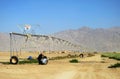 Vogelfotografen / Bird photographers at Yotvata circulair fields Royalty Free Stock Photo